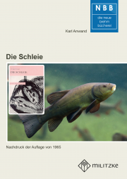 Die Schleie