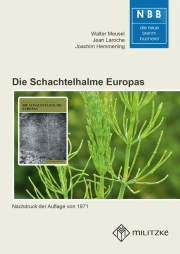 Die Schachtelhalme Europas