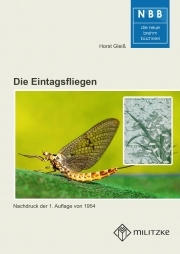 Die Eintagsfliegen