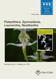 Platanthera, Gymnadenia, Leucorchis, Neottianthe