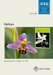 Ophrys - Ragwurzarten Mitteleuropas