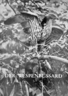 Der Wespenbussard