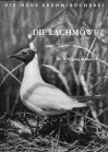 Die Lachmöwe