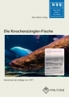 Die Knochenzüngler-Fische